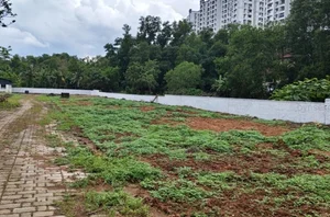 Prime Residential Plot for Sale in Edachira, Kakkanad
