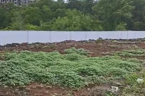 5.39 Cents Land for Sale in Edachira, Kakkanad