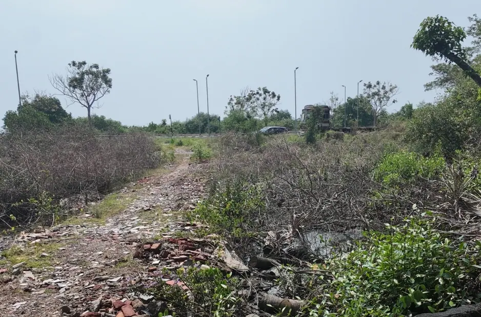 16 Cents of Prime land for Sale in Container Road, Kochi 