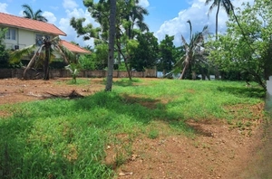 17.5 Cent Land for Sale in Maradu, Kochi 