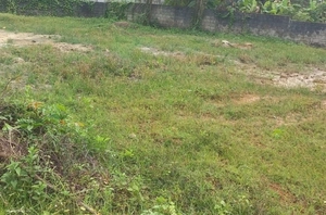 Prime Land for Sale in Edachira, Kakkanad