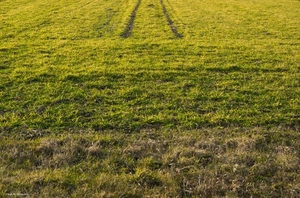 10-Cent Land for Sale Near Kadambrayar Lake, Kakkanad