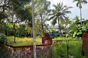 19 Cents Prime Land for Sale in Aluva, Kochi