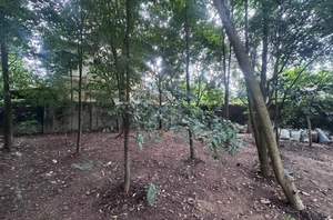 8 Cents Residential Land for Sale in Padamugal, Kochi