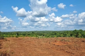 Residential Land for Sale in Ponoth Road, Kaloor