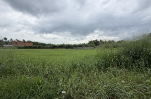 32 Cents of Commercial Land for Sale in Kalady, Kochi