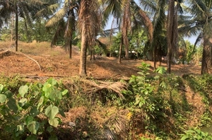 70 Cents of Land for Sale in Muvattupuzha