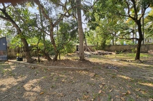 Plot available for sale in Mulavukadu, Kochi