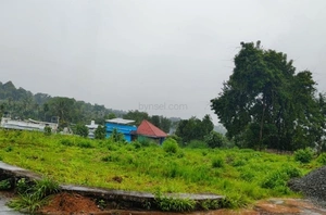 5-Cents Residential Plot for Sale in Chottanikkara