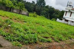Prime East-Facing Residential Plots for Sale in Mulanthuruthy