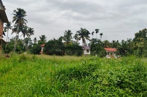 Prime Residential Plot for Sale in Mulanthuruthy