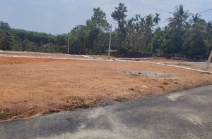 Residential Plots for Sale Near Mulanthuruthy
