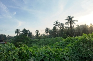 47 Cents of Prime Highway-Frontage Commercial Land for Sale in Koratty