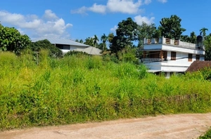Prime 9-Cent Plot for Sale in Kadungamangalam