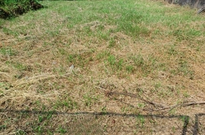 Prime 7.83-Cent Land for Sale in Kadavanthra, Kochi