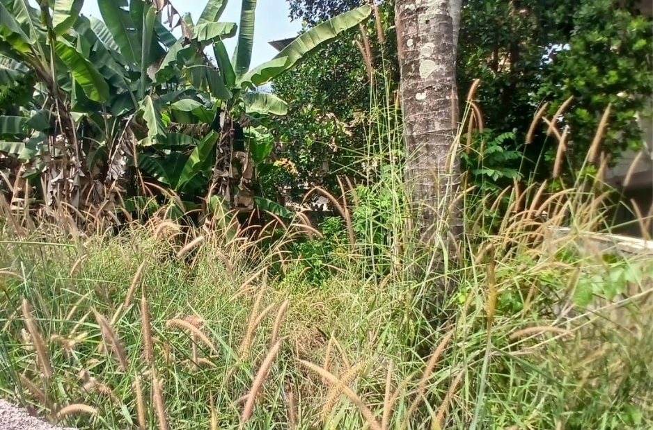 Plot for Sale in Ernakulam