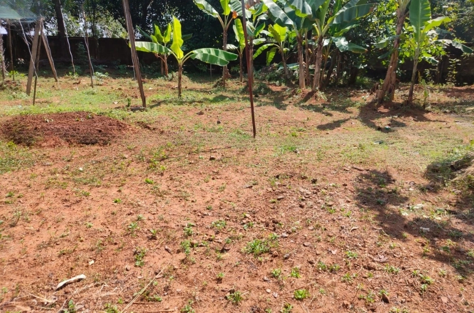 Plot for Sale in Sobha City, Thrissur