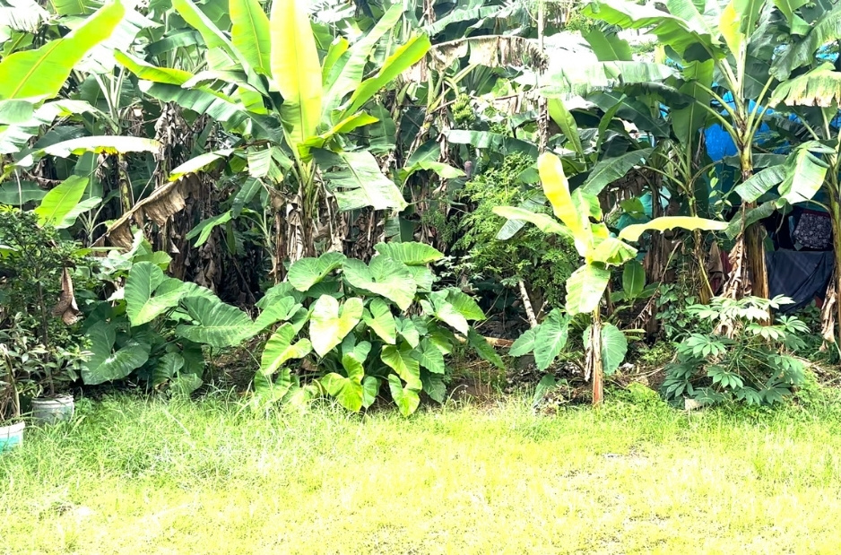 Plot for Sale in Kaloor