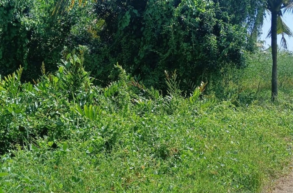 Land for Sale in Maradu