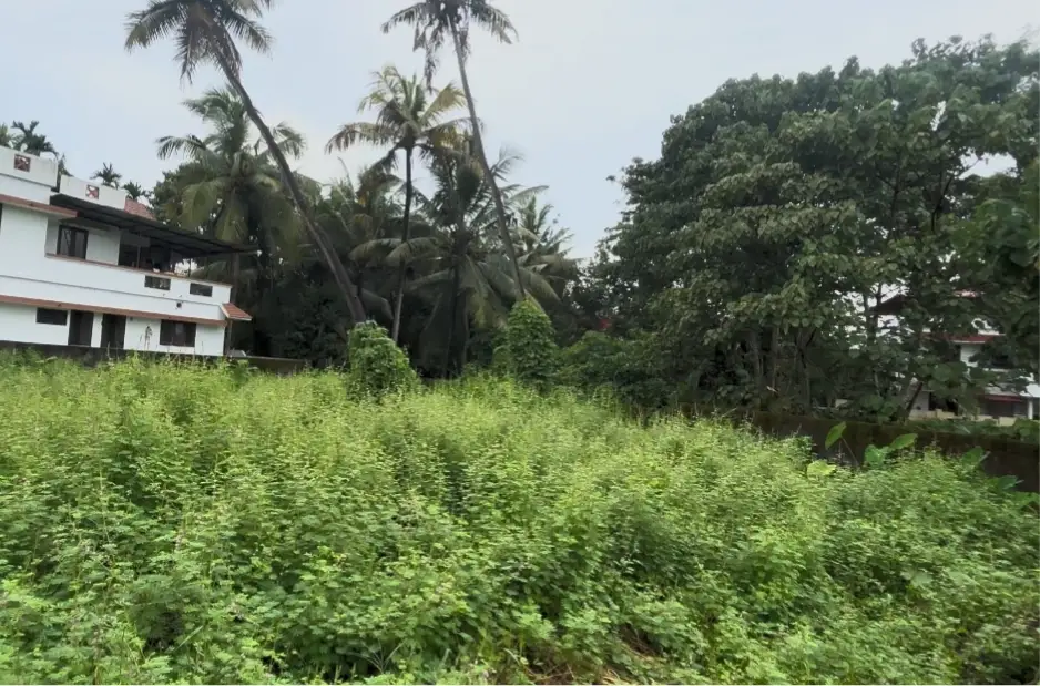 Plot for Sale in Kakkanad