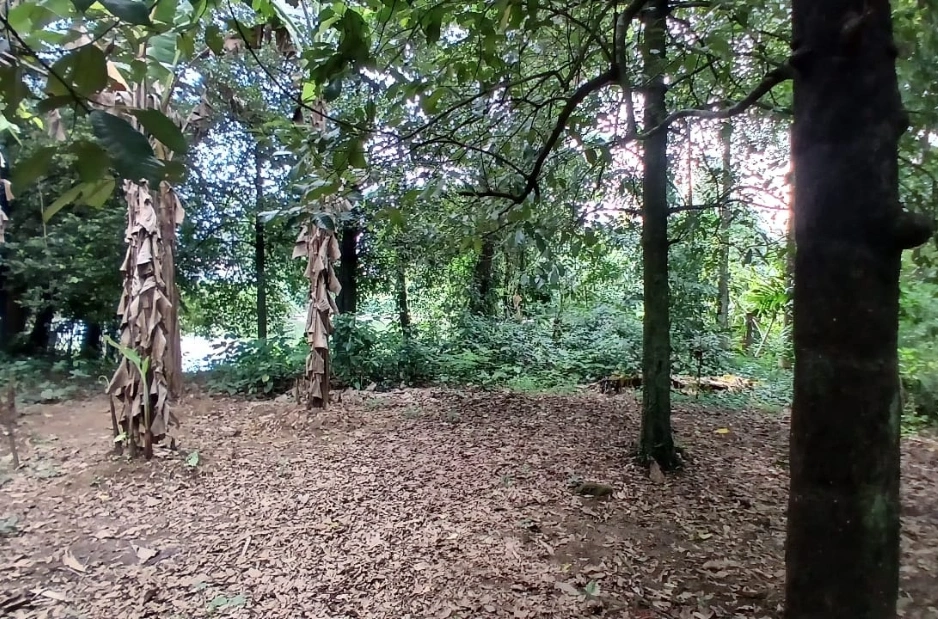 Plot for Sale in Okkal